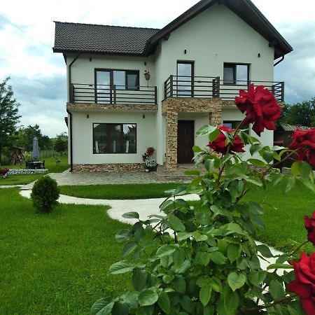 Pensiunea Casa Nusa Бая-де-Ф'єр Екстер'єр фото
