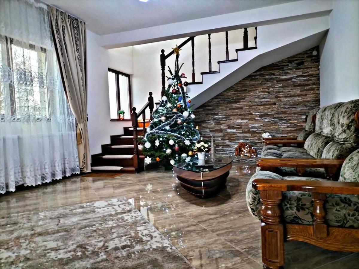 Pensiunea Casa Nusa Бая-де-Ф'єр Екстер'єр фото